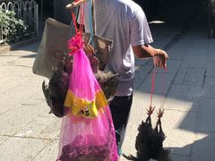 -黄埔古港