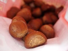 -阿男野栗王(金门路店)