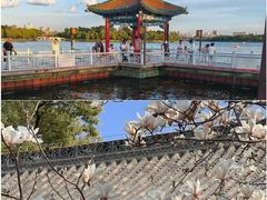 -长春市南湖公园