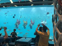 -瑞德姆美人鱼海底演艺主题餐厅(亚龙湾店)