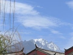 -正宗李家土鸡米线店