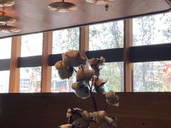 -良木缘咖啡西餐(太古里店)