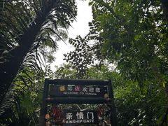 -呀诺达热带雨林