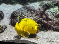 -新加坡海洋生态馆