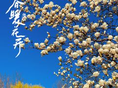 -睦南公园