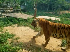 -大连森林动物园