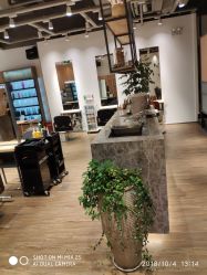 -Mentor Hair Salon
