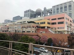 -台场海滨公园船码头