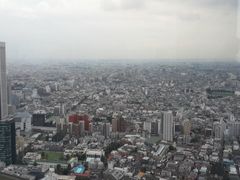 -东京都厅舍