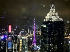 -上海柏悦酒店