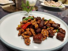 -丁老爷子苏香圆