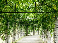 -丝绸小镇荻港古村