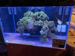 -Zoolung Zoolung动物主题公园(海信广场店)