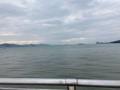 -演武大桥观景平台