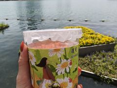 -天鹅湖体育公园