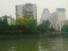 -运河游船(武林门码头)