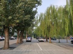 -圆明园停车场