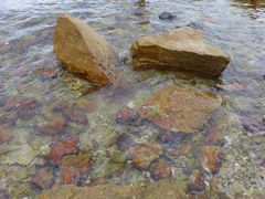 -杨梅坑