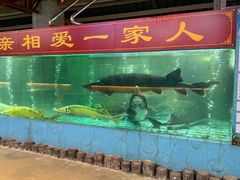 -年辉渔村·非遗传承餐厅(新丰江店)