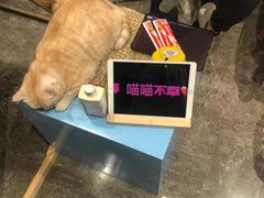 -圆融星座购物中心