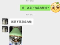 -睿金宠物医院·CT·肿瘤·骨外科