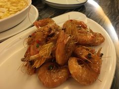-云中小雅