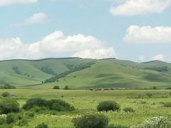 -塞罕坝国家级自然保护区