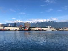 -花莲东大门国际观光夜市