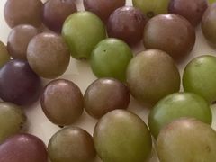 -马陆小张葡萄园农家乐