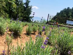 -云峰山自然风景区
