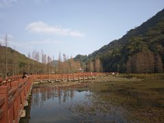 -广州市石门国家森林公园