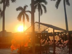 -千岛蚝高压锅生蚝·人参火锅(白云万达店)