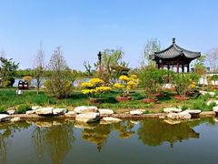-水西公园