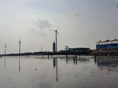 -碧海金沙