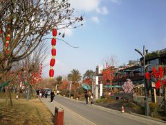 -三圣花乡旅游区