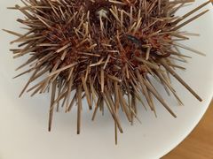 -海胆小馆(东北水饺·春柳店)