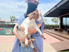 -太阳岛度假酒店