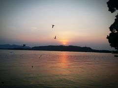 -星巴克(西湖天地店)