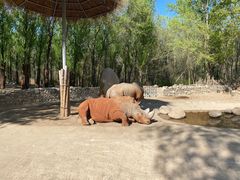 -北京野生动物园