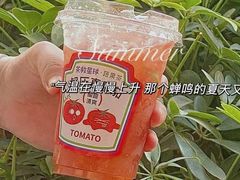 -茶救星球·蔬果茶(福田水围店)