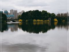 -成都南湖公园