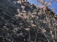 -东华门大街小区