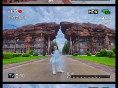 -嘉荫恐龙国家地质公园