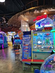 -卡通尼·Safari非洲探索乐园·生日会(金桥国际商业广场店)