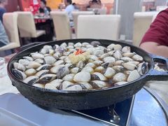 -顺德哥卜卜贝(旗舰店)