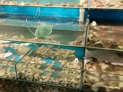 -仙螺岛海鲜自助餐厅(总店)