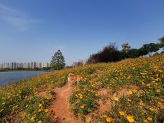 -洋湖国家湿地公园