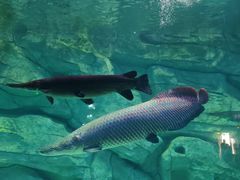 -泉城欧乐堡海洋极地世界