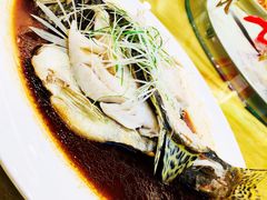 清蒸鲈鱼-汇贤府·李氏鲁菜(五棵松店)