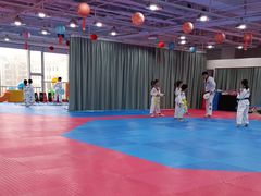 -陈中跆拳道(中关村馆)